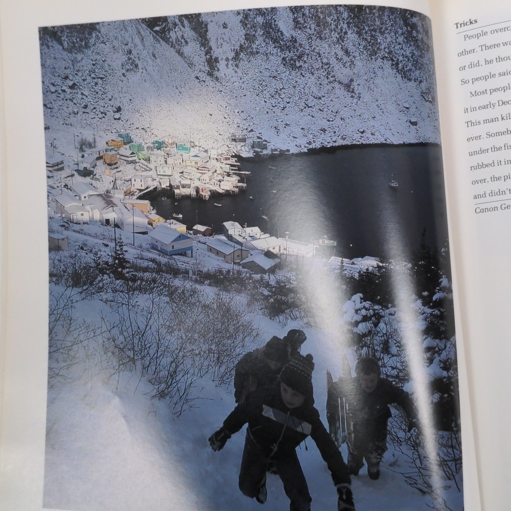 This Marvellous Terrible Place Book - Picture 3 of 5